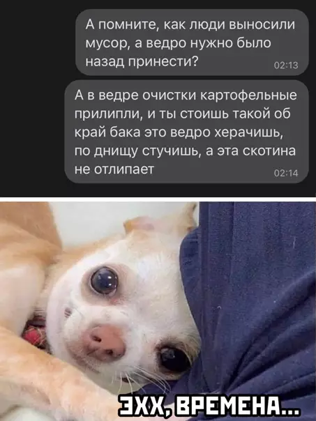 Смешная картинка №540045