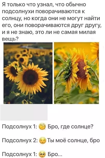 Смешная картинка №463685 Слишком мимимишно