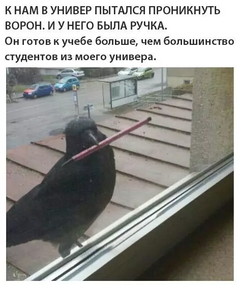 Смешная картинка №246497