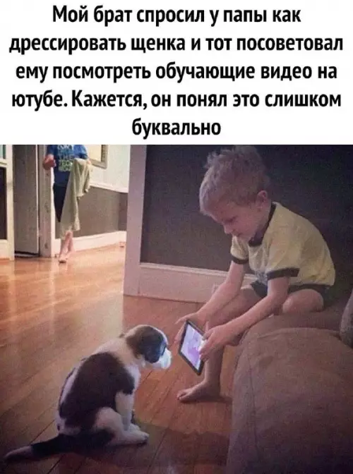 Смешная картинка №692307 дети