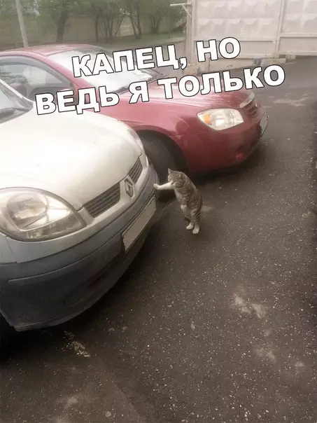 Смешная картинка №408239 Когда решил сделать утреннюю пробежку, но слишком быстро устал