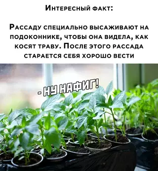 Смешная картинка №649603