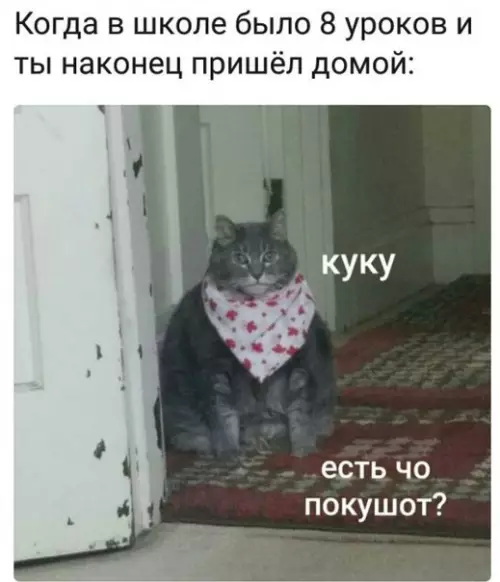 Смешная картинка №227059