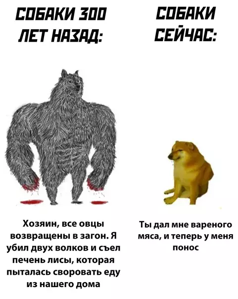 Смешная картинка №545499