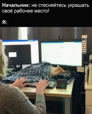 Смешная картинка №663477