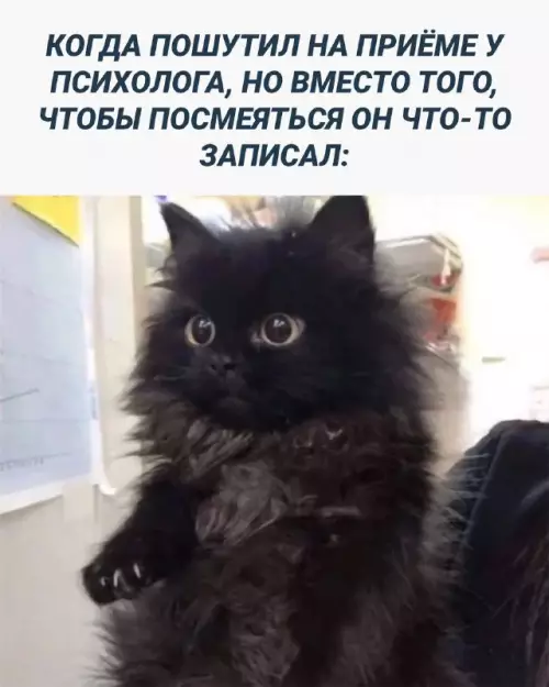 Смешная картинка №692569