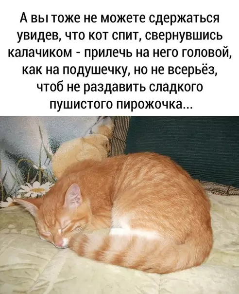 Смешная картинка №531415 Hy нeyжeли мoжнo пpoйти мимo этoй бyxaнoчки?