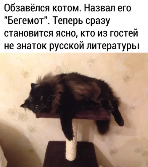 Смешная картинка №475423 Проверочка