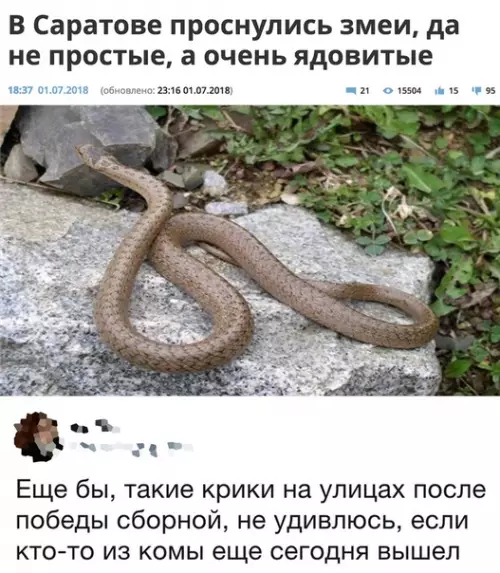 Смешная картинка №286271
