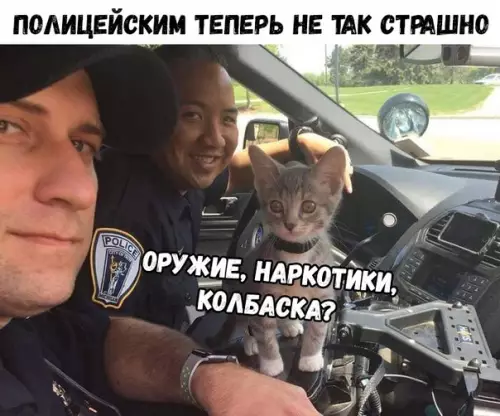 Смешная картинка №326824