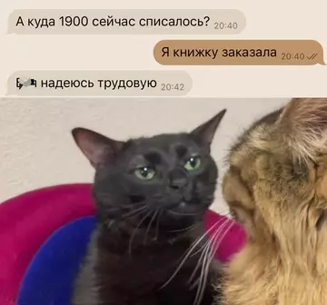 Смешная картинка №755965