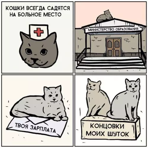 Смешная картинка №201325 Кошки