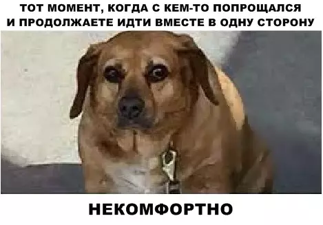 Смешная картинка №291081