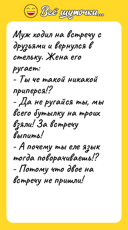 Муж ходил на встречу с друзьями и вернулся в стельку.