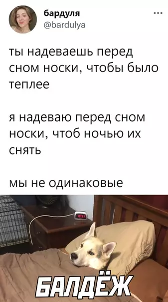 Смешная картинка №623042