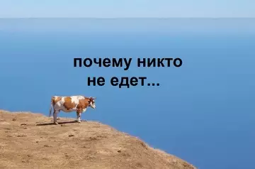 продолжение Смешная картинка №768817