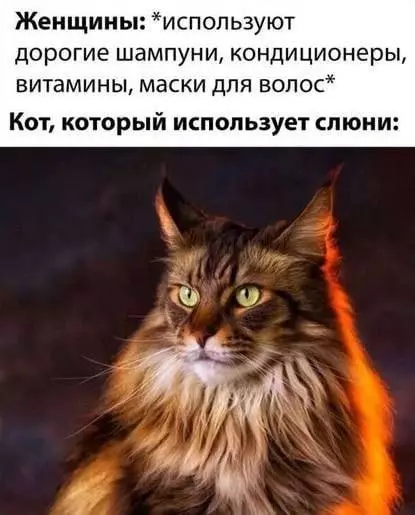 Смешная картинка №686089