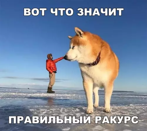Смешная картинка №264001