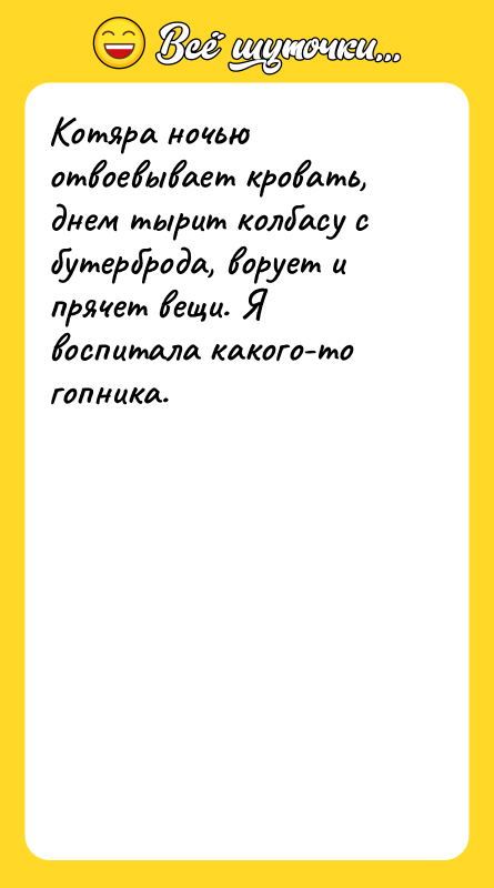 Котяра ночью отвоевывает кровать, днем тырит колбасу с бутерброда, ворует