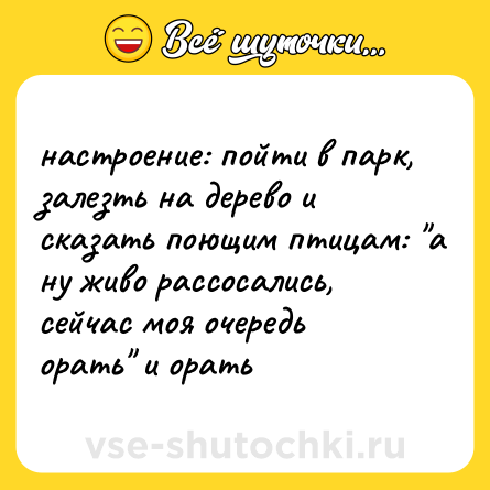 Шутка: настроение: пойти в парк, залезть на дерево и сказать поющим птицам: 