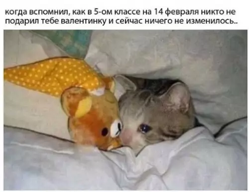 Смешная картинка №249326
