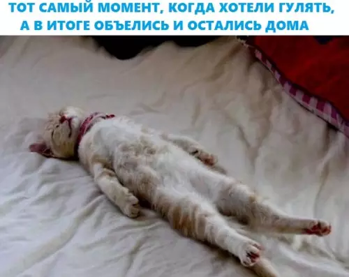 Смешная картинка №287848