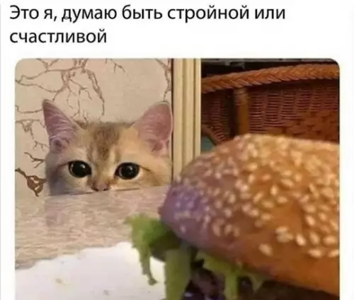 Выбор века: стройность или бургер? 🍔 - Это я, думаю быть стройной или счастливой