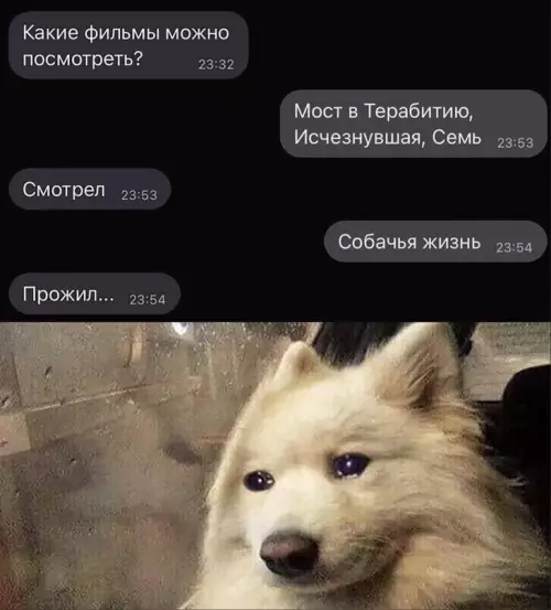 Смешная картинка №677579 Многие прожили эту жизнь
