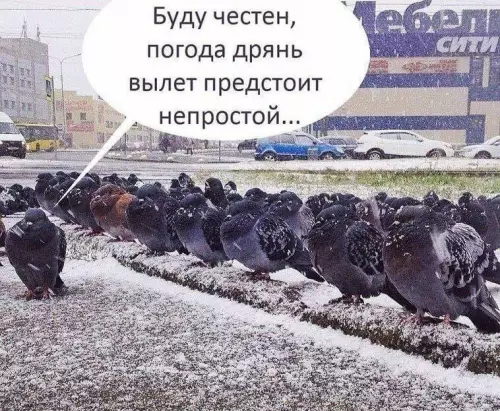 Смешная картинка №736831