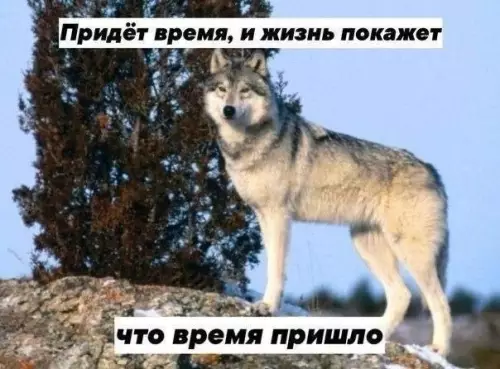 Смешная картинка №733730 Время придет