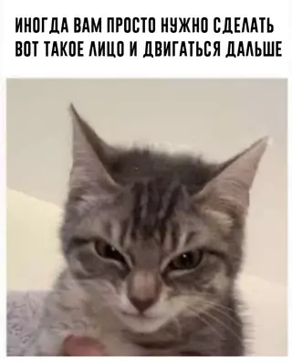 Смешная картинка №716233