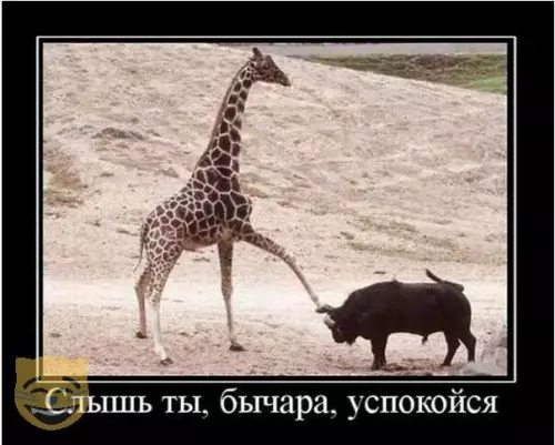 Смешная картинка №318200 животные