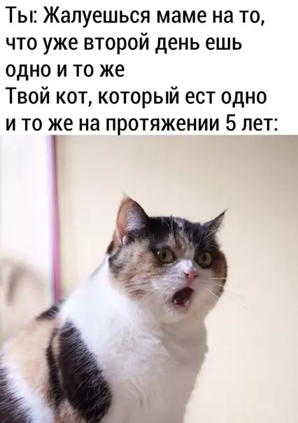 Смешная картинка №476651