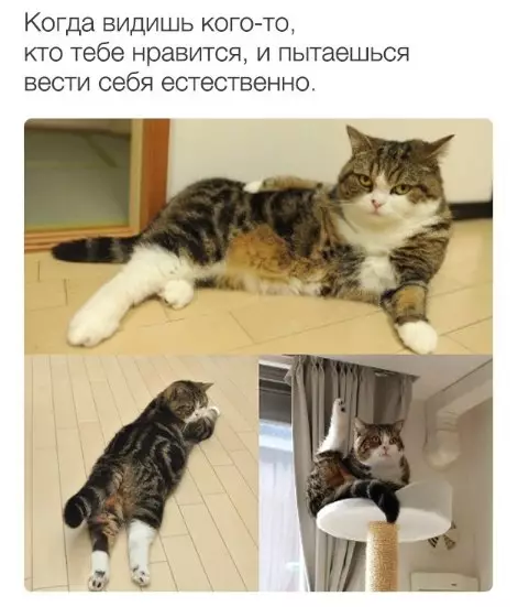 Смешная картинка №221996