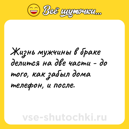 Шутка: Жизнь мужчины в браке делится на две части - до того, как забыл дома телефон, и после.