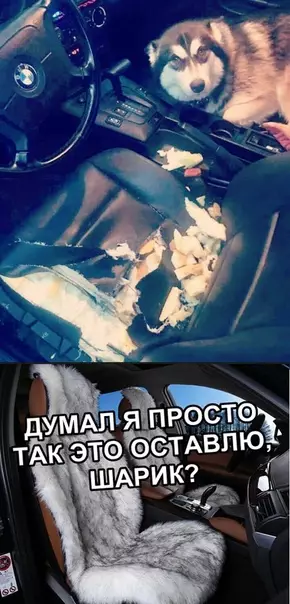 Смешная картинка №326727