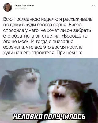 Смешная картинка №651981