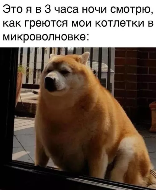 Смешная картинка №748013