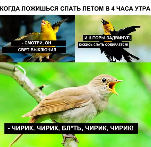 Смешная картинка №285285