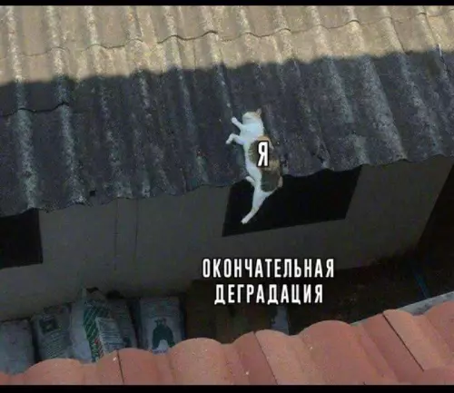 Смешная картинка №731139 Немного осталось 