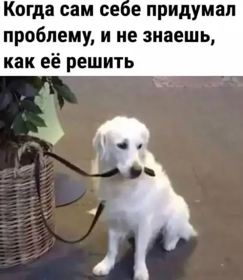 Смешная картинка №644912