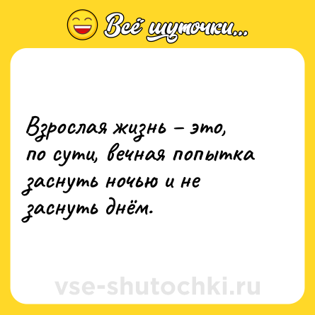 Шутка: Взрослая жизнь – это, по сути, вечная попытка заснуть ночью и не заснуть днём.