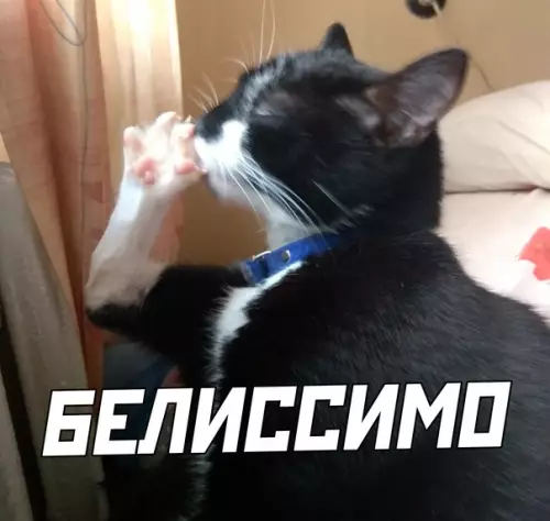 продолжение Смешная картинка №569373