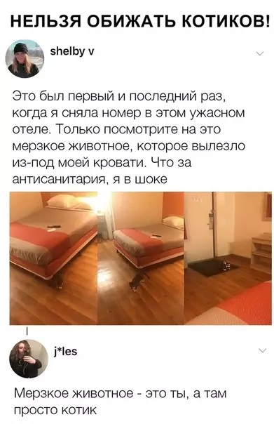 Смешная картинка №331351