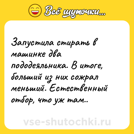 Шутка: Запустила стирать в машинке два пододеяльника. В итоге, больший из них сожрал меньший. Естественный отбор, что уж там..