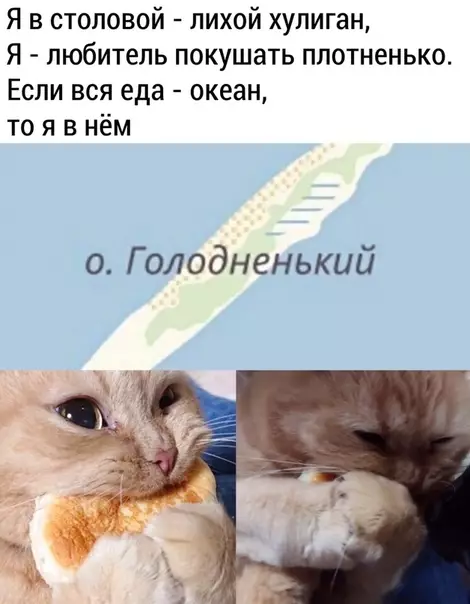 Смешная картинка №483897