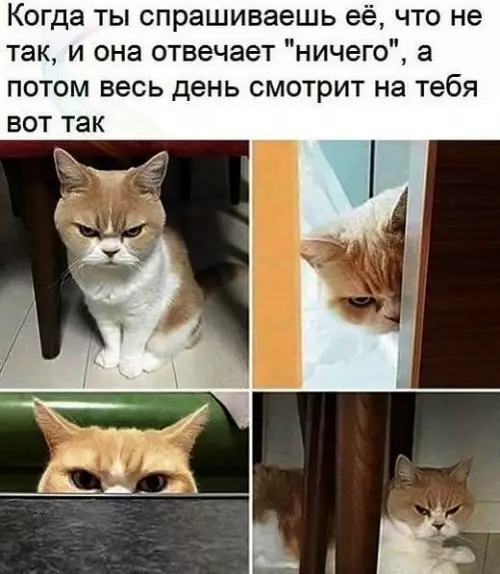 Смешная картинка №392953