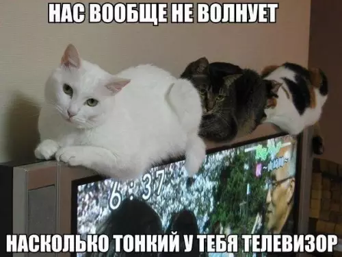 Смешная картинка №197318
