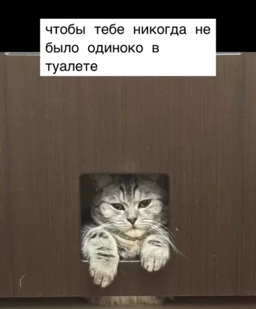продолжение Смешная картинка №768680