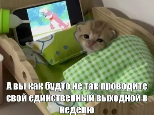 Смешная картинка №802302